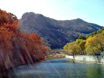 澳门天天免费精准大全，站群模板